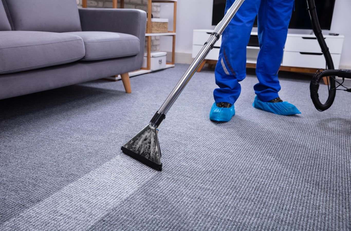 Professional carpet cleaning for Tampa Bay businesses, removing stains and improving workplace hygiene